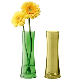 Coro Vases, Assorted Leaf Vase (Set of 2)- 17cm