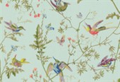 Cole & Son A Collection Of Flowers Humming Birds 62/1004 Wallpaper